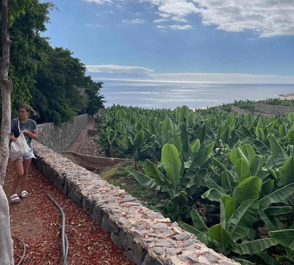 Semesterbostad Basalto House Flat Tenerife South Tejina de Isora Spanien