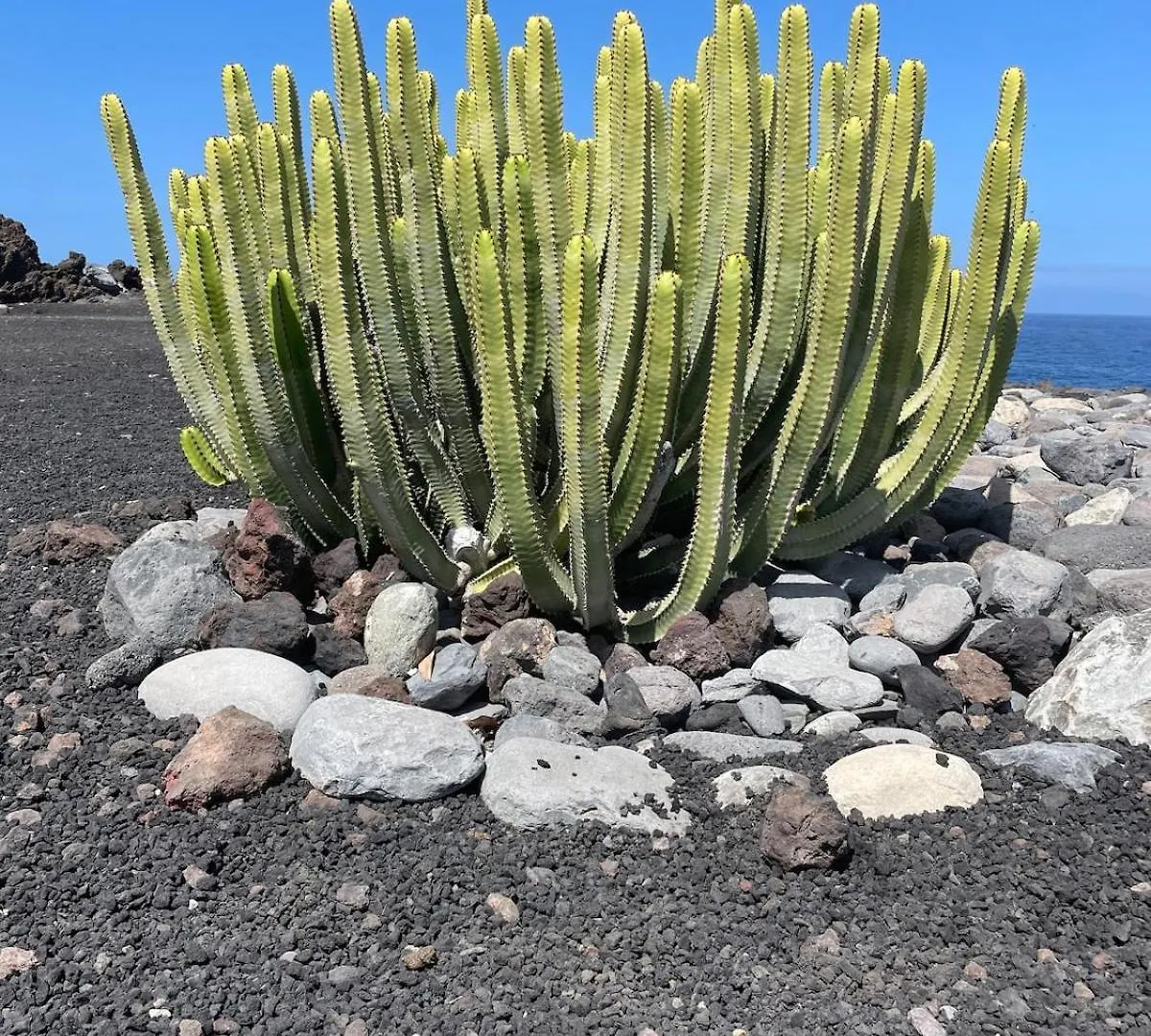 Prázdninový dům Basalto House Flat Tenerife South Tejina de Isora