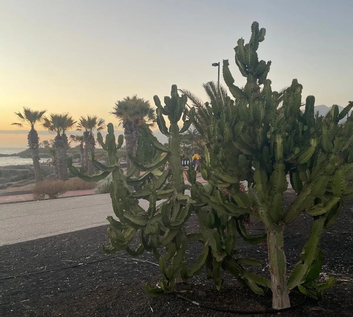 Basalto House Flat Tenerife South Tejina de Isora